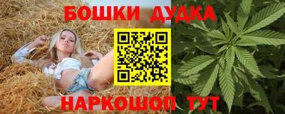 a pvp Ачхой-Мартан