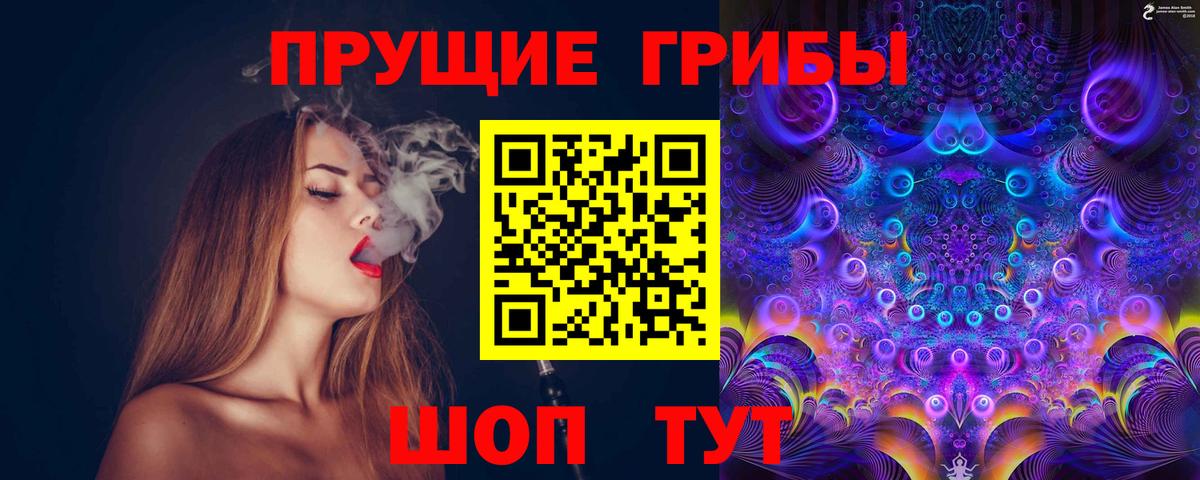Кировск  Псилоцибиновые грибы MAGIC MUSHROOMS  что такое   Вход с VPN 